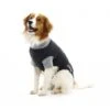 Buster Body Suit Chien M -Magasin De Fournitures Pour Animaux De Compagnie 1 8 1 1 1 1