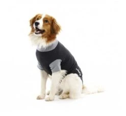 Buster Body Suit Chien M