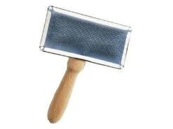 CAMON Etrille Carde Medium Modèle