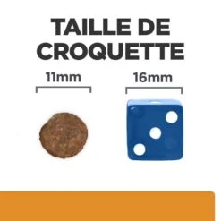 Hill's Prescription Diet Canine K/D J/D + Mobility 4 Kg 12 Hill's Prescription Diet Canine K/D J/D + Mobility 4 Kg -Magasin De Fournitures Pour Animaux De Compagnie 52742011608 6 prescription diet chien k d mobility croquettes poulet 3