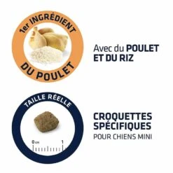 Advance Mini Senior Chien 3 Kg -Magasin De Fournitures Pour Animaux De Compagnie advance mini senior chien 3 kg la compagnie des animaux 1 1