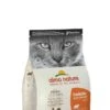 Almo Nature Chat Holistic Poulet Riz 2 Kg -Magasin De Fournitures Pour Animaux De Compagnie almo nature chat holistic poulet et riz 2 kg 1