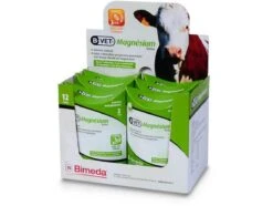 B-VET Magnésium 2 Bolus