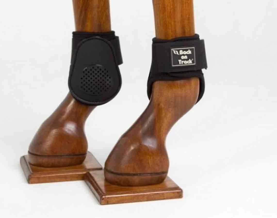 Back On Track Protèges Boulets L X2 3 Back On Track Protèges Boulets L X2