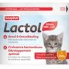 Beaphar Lactol Lait Maternisé Pour Chatons 250 G 1 Beaphar Lactol Lait Maternisé Pour Chatons 250 G -Magasin De Fournitures Pour Animaux De Compagnie beaphar lactol lait maternise pour chatons 250 g