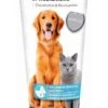 Beaphar Pâte Articulations Chondroïtine Glucosamine 250 G 2 Beaphar Pâte Articulations Chondroïtine Glucosamine 250 G -Magasin De Fournitures Pour Animaux De Compagnie beaphar pa te pour articulations chondroi tine et glucosamine 250 g