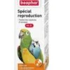Beaphar Special Reproduction Oiseaux 100 Ml 1 Beaphar Special Reproduction Oiseaux 100 Ml -Magasin De Fournitures Pour Animaux De Compagnie beaphar special reproduction oiseaux 100 ml