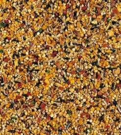 Magasin De Fournitures Pour Animaux De Compagnie -Magasin De Fournitures Pour Animaux De Compagnie beaphar xtravital oiseaux exotiques 500 g2