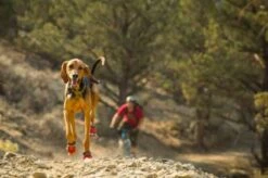 Ruffwear Bottines Grip Trex Rouge 51 Mm - Destockage -Magasin De Fournitures Pour Animaux De Compagnie bottines ruffwear grip trex rouge 51 mm4