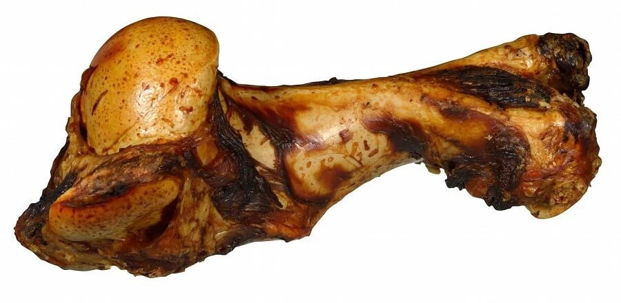 Bubimex Os De Mammouth 1.1 Kg 3 Bubimex Os De Mammouth 1.1 Kg