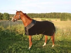 Chemise Polaire Supreme Back On Track 155 Cm - Destockage 7 Chemise Polaire Supreme Back On Track 155 Cm - Destockage -Magasin De Fournitures Pour Animaux De Compagnie chemise polaire supreme back on track 2 4 2 3