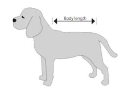 Buster Body Suit Chien XL 7 Buster Body Suit Chien XL -Magasin De Fournitures Pour Animaux De Compagnie chien 1 2 1 1 1 1 1 1