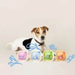 Edgard & Cooper Multipack Poulet Et Agneau Et Gibier Chien Adulte 6 X 100 G -Magasin De Fournitures Pour Animaux De Compagnie chien multipack adulte naturel poulet agneau gibier 150gx6 3