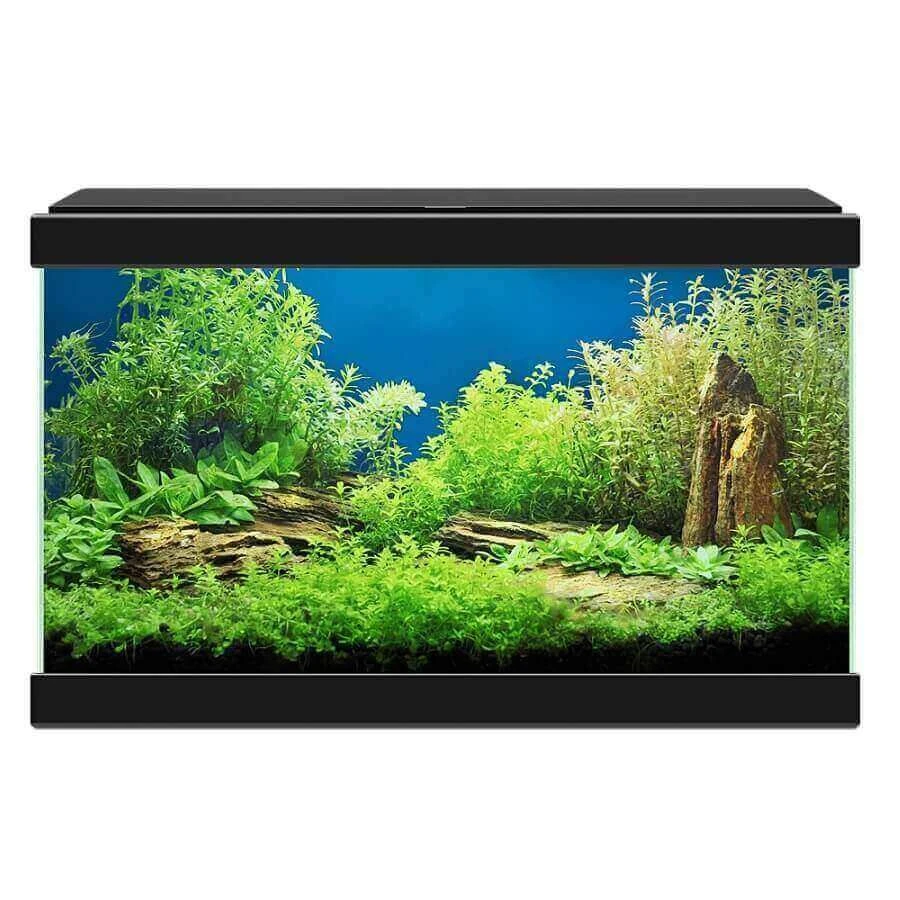 Ciano Aquarium 20 LED Noir - Destockage 4 Ciano Aquarium 20 LED Noir - Destockage – Image 2