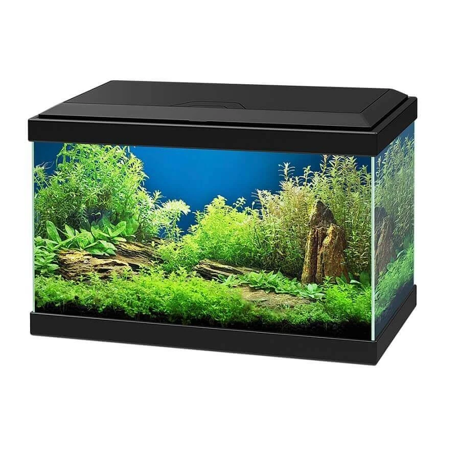 Ciano Aquarium 20 LED Noir - Destockage 3 Ciano Aquarium 20 LED Noir - Destockage