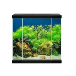 Ciano Aquarium 30 LED Noir