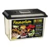 Exo Terra Faunarium Reptile L -Magasin De Fournitures Pour Animaux De Compagnie exo terra faunarium pour reptile l