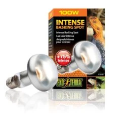 Exo Terra Lampe Intense à Vis Pour Terrarium 100 W -Magasin De Fournitures Pour Animaux De Compagnie exo terra lampe intense vis pour terrarium 100 w 2