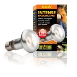 Exo Terra Lampe Intense à Vis Pour Terrarium 50 W -Magasin De Fournitures Pour Animaux De Compagnie exo terra lampe intense vis pour terrarium 50 w