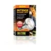 Exo Terra Lampe Intense à Vis Pour Terrarium 50 W 1 Exo Terra Lampe Intense à Vis Pour Terrarium 50 W -Magasin De Fournitures Pour Animaux De Compagnie exo terra lampe intense vis pour terrarium 50 w 1