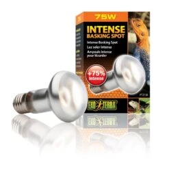 Exo Terra Lampe Intense à Vis Pour Terrarium 75 W -Magasin De Fournitures Pour Animaux De Compagnie exo terra lampe intense vis pour terrarium 75 w