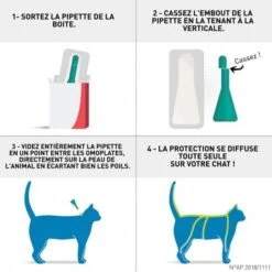 Frontline Chat Spot On 6 Pipettes -Magasin De Fournitures Pour Animaux De Compagnie frontlinechattuto 1