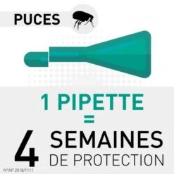 Frontline Chat Spot On 6 Pipettes -Magasin De Fournitures Pour Animaux De Compagnie frontlinecombochatduree 1