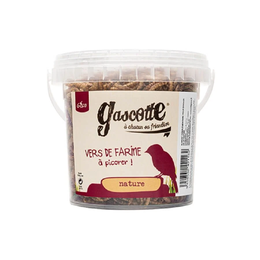 Gasco Friandises Gascotte Vers De Farine à Picorer 100 G 3 Gasco Friandises Gascotte Vers De Farine à Picorer 100 G