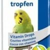 Trixie Gouttes Vitaminées Pour Oiseaux 15 Ml 2 Trixie Gouttes Vitaminées Pour Oiseaux 15 Ml -Magasin De Fournitures Pour Animaux De Compagnie gouttes vitamine es