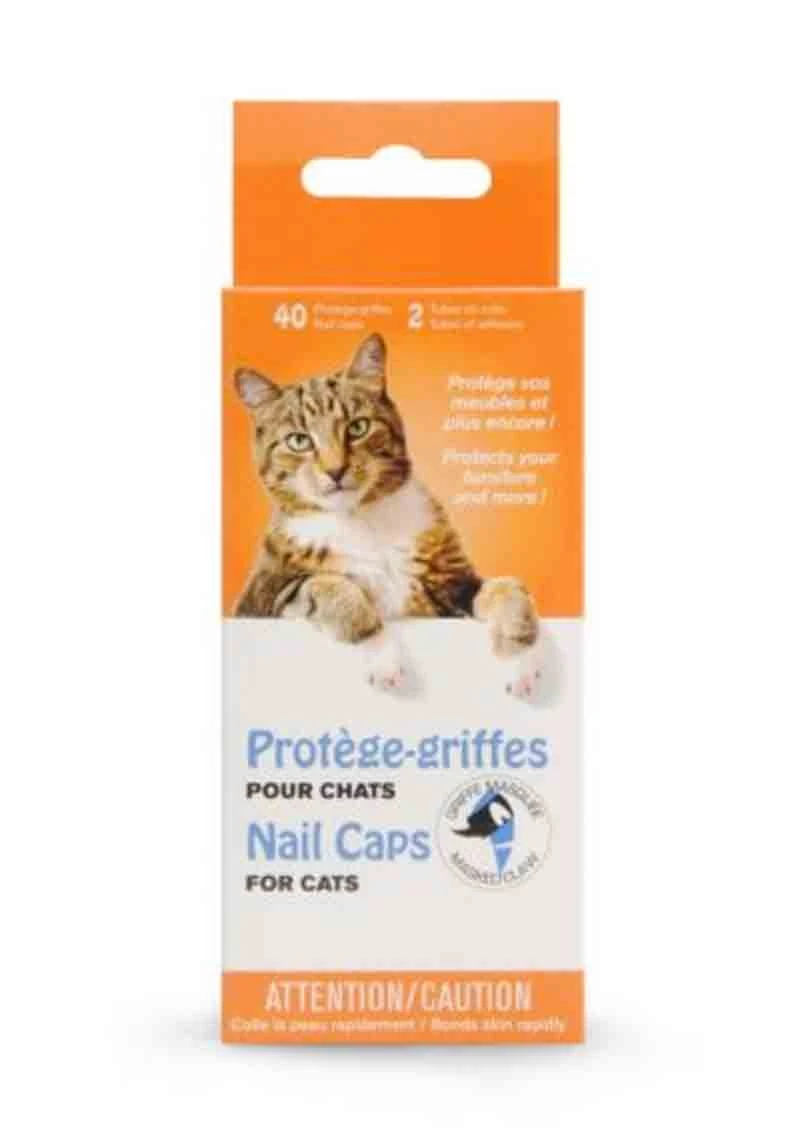 Protège-griffe Griffe Masquée Pour Chat Transparent S 3 Protège-griffe Griffe Masquée Pour Chat Transparent S