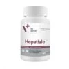 VetExpert Hépatiale S 40 Capsules