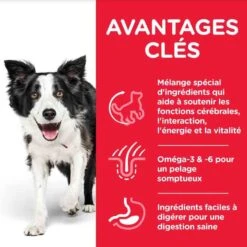 Hill's Science Plan Canine Mature Adult 7+ Senior Vitality Medium Poulet 14 Kg -Magasin De Fournitures Pour Animaux De Compagnie hill s science plan canine mature adult 7 youthful vitality medium poulet 14 kg4