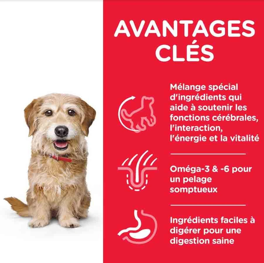 Hill's Science Plan Canine Mature Adult 7+ Youthful Vitality Small&Mini Poulet 1,5 Kg 4 Hill's Science Plan Canine Mature Adult 7+ Youthful Vitality Small&Mini Poulet 1,5 Kg – Image 2
