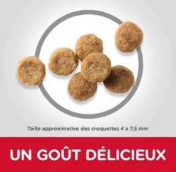 Hill's Science Plan Canine Mature Adult 7+ Youthful Vitality Small&Mini Poulet 1,5 Kg 9 Hill's Science Plan Canine Mature Adult 7+ Youthful Vitality Small&Mini Poulet 1,5 Kg -Magasin De Fournitures Pour Animaux De Compagnie hill s science plan canine mature adult 7 youthful vitality small mini poulet 1 5 kg5