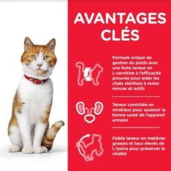 Hill's Science Plan Hill's Science Plan Chat Young Adult Sterilisé Poulet 3 Kg 8 Hill's Science Plan Hill's Science Plan Chat Young Adult Sterilisé Poulet 3 Kg -Magasin De Fournitures Pour Animaux De Compagnie hill s science plan feline young adult sterilised cat poulet 3 kg4