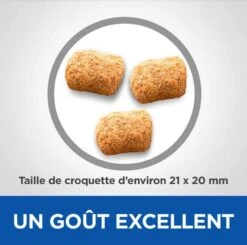 Hill's Science Plan VetEssentials Canine Mature Dental Health Medium & Large Poulet 10 Kg -Magasin De Fournitures Pour Animaux De Compagnie hill s vetessentials canine mature dental health mediumlarge2 1