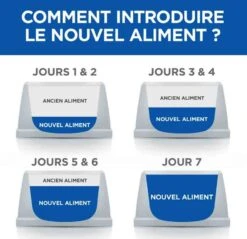 Hill's Science Plan VetEssentials Canine Mature Dental Health Medium & Large Poulet 10 Kg -Magasin De Fournitures Pour Animaux De Compagnie hill s vetessentials canine mature dental health mediumlarge4 1