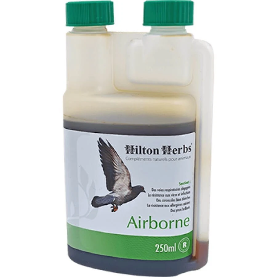 Hilton Herbs Airborne 250 Ml 3 Hilton Herbs Airborne 250 Ml