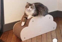 Homycat Griffoir Pour Chat Nuage - Destockage -Magasin De Fournitures Pour Animaux De Compagnie homycat griffoir pour chat nuage3