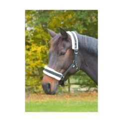 Kerbl Licol Avec Fourrure Synthétique Noir Poney -Magasin De Fournitures Pour Animaux De Compagnie kerbl licol avec fourrure synthetique noir poney 2