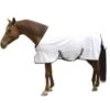 Kerbl Couverture Anti-mouches Pour Cheval 145 Cm 1 Kerbl Couverture Anti-mouches Pour Cheval 145 Cm -Magasin De Fournitures Pour Animaux De Compagnie kerbl couverture anti mouches pour cheval 1 1