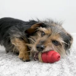 KONG Friandises Marathon Chicken Pour Chien L 192 G -Magasin De Fournitures Pour Animaux De Compagnie kong friandises marathon chicken 1 1