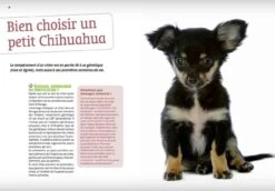 Livre - Bien Vivre Avec Mon Chihuahua -Magasin De Fournitures Pour Animaux De Compagnie livre bien vivre avec mon chihuahua3