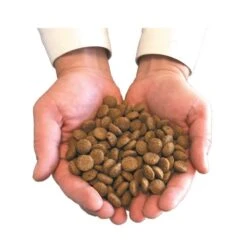 Canichef Croquettes BIO Chien Senior 2 Kg -Magasin De Fournitures Pour Animaux De Compagnie main avec croquettes 3 5