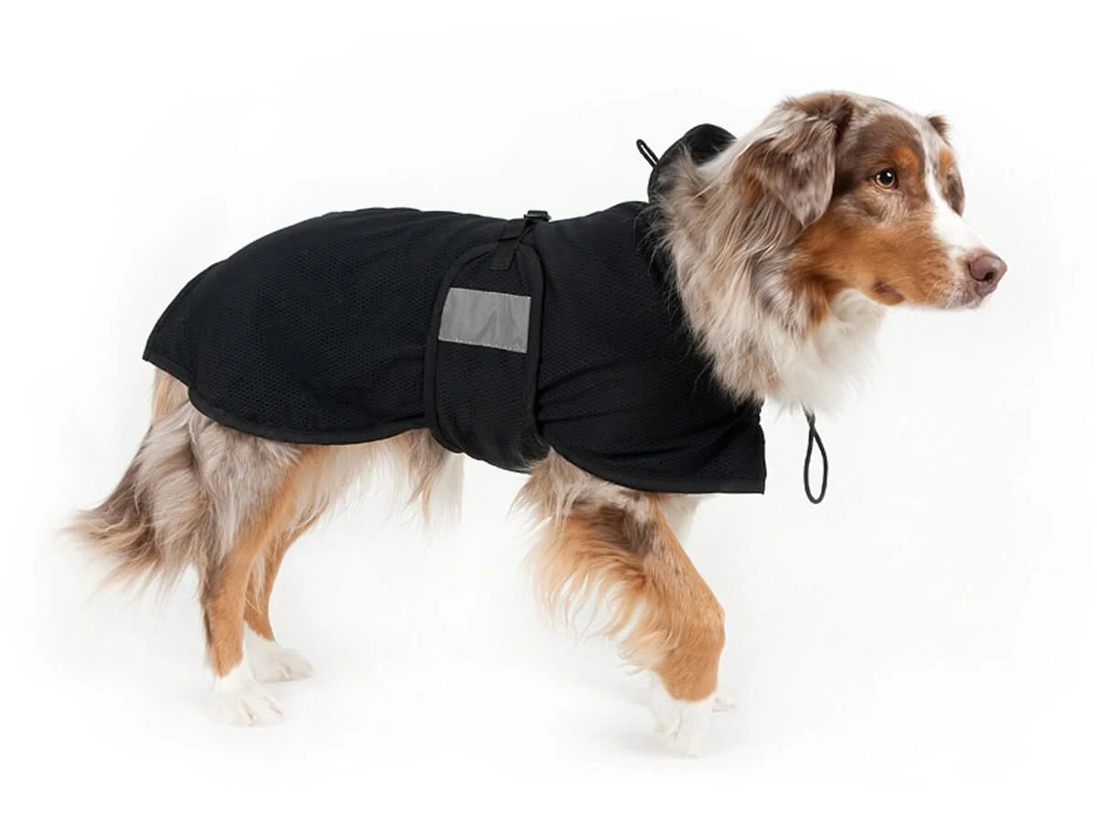 Manteau Filet Back On Track Pour Chien Taille 52 Cm 3 Manteau Filet Back On Track Pour Chien Taille 52 Cm