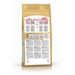 Royal Canin Maine Coon Kitten 10 Kg -Magasin De Fournitures Pour Animaux De Compagnie mc kit arriere pack
