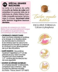 Royal Canin Maine Coon Kitten 10 Kg -Magasin De Fournitures Pour Animaux De Compagnie mc kit information