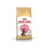 Royal Canin Maine Coon Kitten 10 Kg -Magasin De Fournitures Pour Animaux De Compagnie mc kit pack