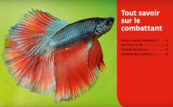 Livre - Poissons Combattants -Magasin De Fournitures Pour Animaux De Compagnie poissons combattants3