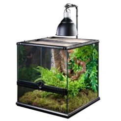 Exo Terra Support Pour Dôme D'éclairage -Magasin De Fournitures Pour Animaux De Compagnie pt2223 light bracket in use 02